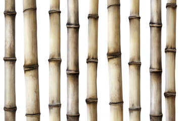 Bamboo curtain texture showcases traditional design elements with a low resolution appearance and neutral tones, perfect for creating an inviting atmosphere in any setting