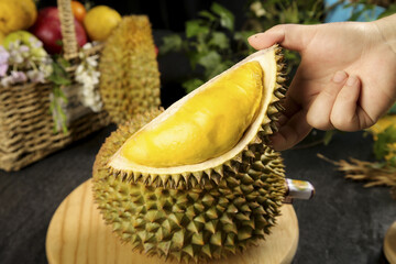 Fresh Durian Fruit with Golden Yellow Flesh Being Held by Hand - Tropical Asian Delicacy