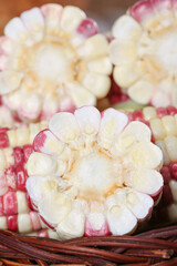 Yunnan Glutinous Sweet Corn Flowers in Traditional Woven Basket - Colorful Asian Corn Variety Display