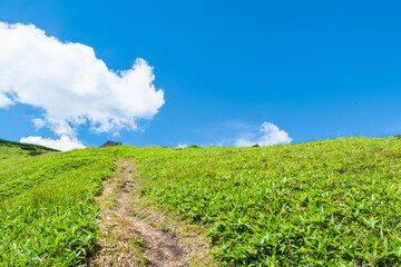 トレッキング　トレイル　夏