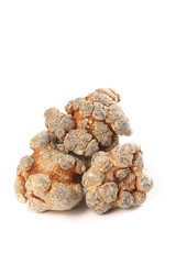 Raw Panax Pseudoginseng Roots from Wenshan Yunnan China Traditional Chinese Herbal Medicine TCM Ingredient