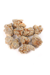 Panax Pseudoginseng Roots from Wenshan Yunnan China Traditional Chinese Medicinal Herbs