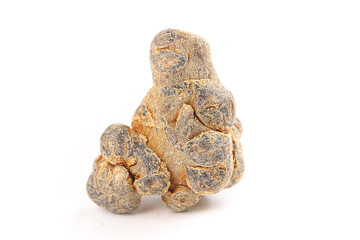 Panax Pseudoginseng Roots Wenshan Yunnan China Traditional Chinese Medicine Herbs TCM