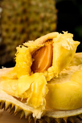 Fresh Cut Thai Durian Fruit with Golden Yellow Flesh Studio Photography