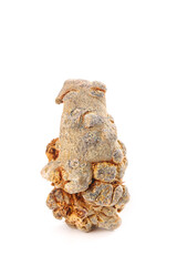 Panax Pseudoginseng Root Heads Wenshan Yunnan Chinese Medicinal Herb Traditional Medicine