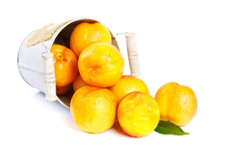 Fresh Golden Nectarines in White Wooden Basket Montana Main View