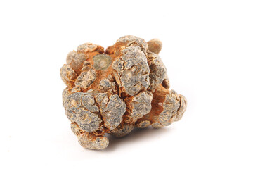 Panax Pseudoginseng Dried Roots from Wenshan Yunnan China - Traditional Chinese Medicine Herb