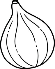 vector illustration of onion, Onion line art vector 