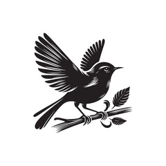 Tailor bird Vector (2).eps