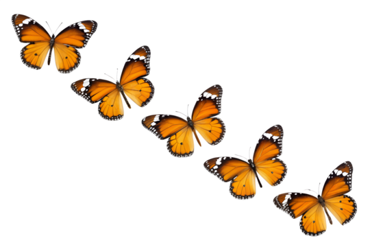 Vibrant Orange Butterflies on Abstract Glitch Background:  Modern, Artistic, Nature Stock Photo