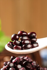 Small Dark Purple Fruits from Xishuangbanna Yunnan China on White Plate