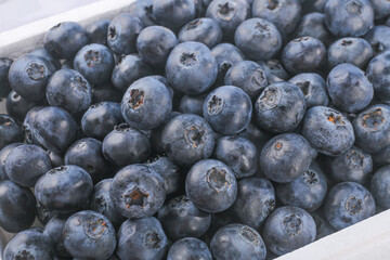 Fresh Organic Blueberries in White Bowl - Healthy Superfood Berries for Natural Diet and Nutrition