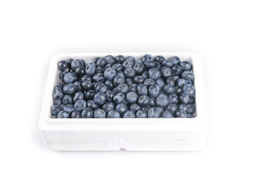 Fresh Yunnan Blueberries in White Container - Organic Superfood Berries