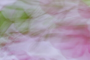 Minimal pastel background with soft pink flower blur and green leaf accents on white backdrop