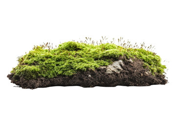 Detailed mossy rock clump with green moss growth perfect for landscaping and terrariums, isolated on transparent background