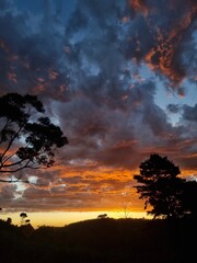 Prince Henry Cliff Walk with Sunset Light, Blue Mountains, Australia