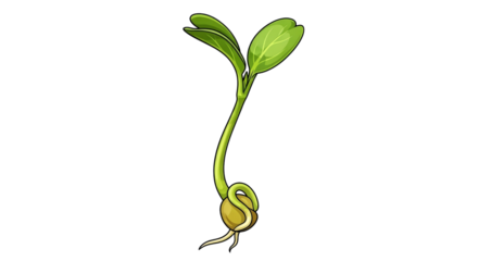 witnessing natures awakening a tiny sprouts triumphant emergence