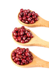 Red Adzuki Beans in Wooden Spoons Studio Shot - Healthy Legume Nutrition Ingredient