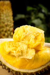 Fresh Golden Durian Fruit with Creamy Pulp in Spiky Shell - Tropical Exotic Food