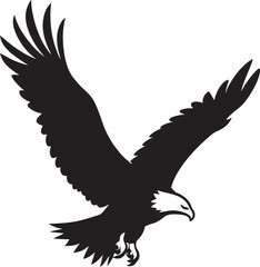 eagle on a white background