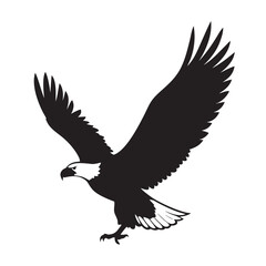 eagle on white background