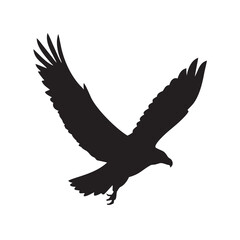 eagle vector illustration