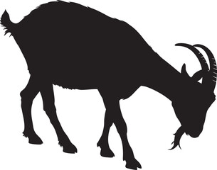 wild goat vector