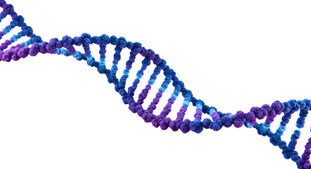 3d rendering of dna molecule isolated on transparent background for science