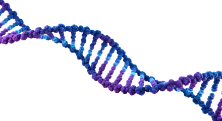 3d rendering of dna molecule isolated on transparent background for science