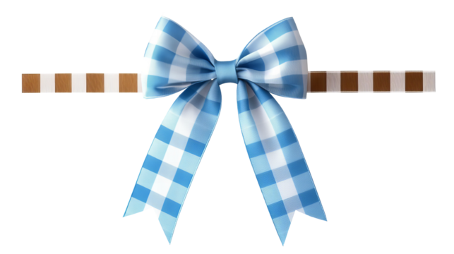 Blue gingham pattern bow with checkerboard ribbon on white background