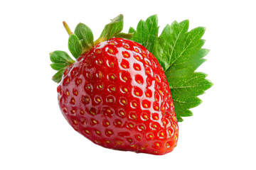 strawberry isolated on white background fresh berry concept
