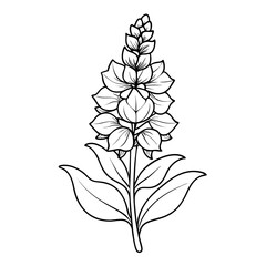  verbascum lychnitis line art flower vector illustration on white background