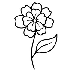 line art  verbena vector