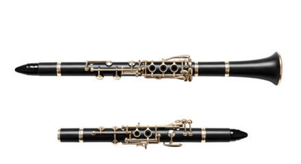 Black clarinet shines with gold accents, creating a polished look for product photography and musical instrument posters.