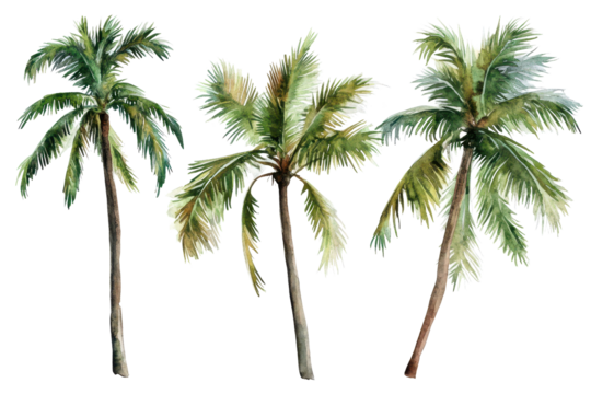 Watercolor depiction of coconut trees symbolizing tropical landscapes with vibrant greens and elegant textures in a minimalist style