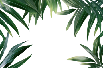 Fresh green tropical palm leaf border providing a natural frame for creative designs and projects in a bright and airy setting
