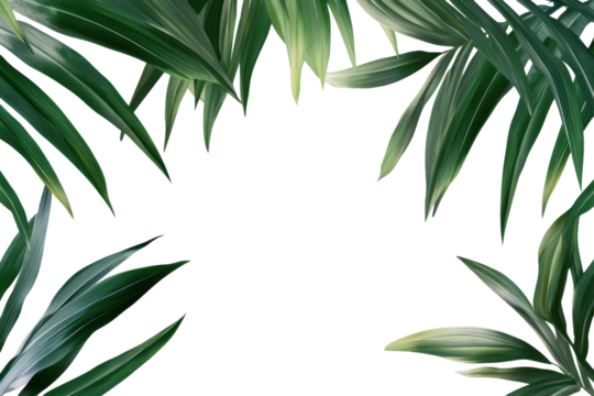 Fresh green tropical palm leaf border providing a natural frame for creative designs and projects in a bright and airy setting