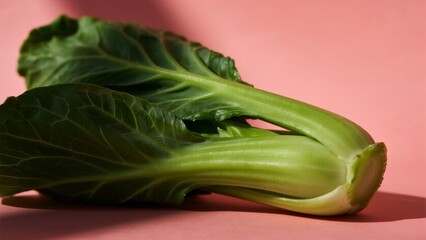Obraz premium Green leafy vegetable on pink background