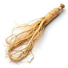 Dried ginseng root isolated on a white background, showcasing its twisted form, earthy tone, and powerful