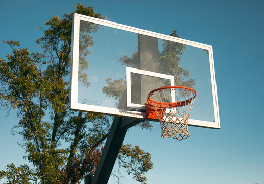 Basketball hoop against green tree and blue sky