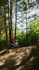 Fototapeta premium A motorcyclist in a red shirt rides a dirt bike through a sunny forest