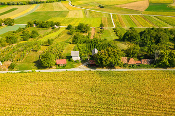 Obraz premium Beautiful green rural landscape in Kalnik vineyard area, Prigorje region, Croatia 