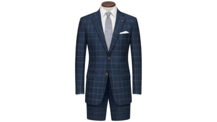 Elegant blue plaid suit with tie, ready for a professional event