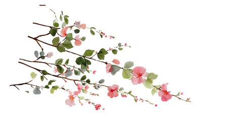 Set of floral wedding arches with pink peonies and delicate vines on a white background. Vibrant Pink Petunias Bloom Abundantly © DARK TRUST
