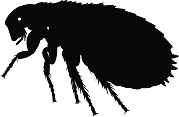 Silhouette of a flea insect macro detail clean vector art vector © Mohim