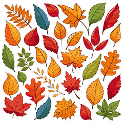Fototapeta premium Set of autumn leaves vector illustration. Multicolored branches clipart for design. 