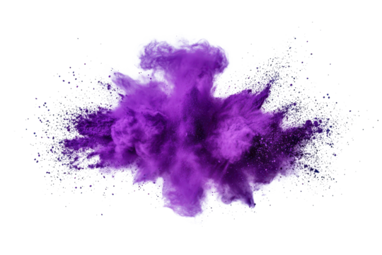 Bright purple lilac holi color powder explosion creates a vibrant cloud during a festive celebration in an outdoor setting