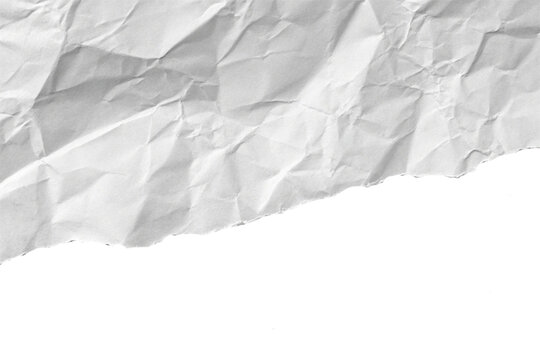 Realistic Torn Paper Edge Isolated on Transparent Background – Ripped White Paper Texture PNG Mockup