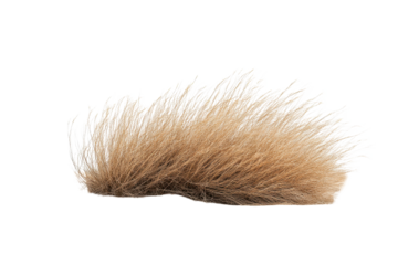 Tumbleweed rolls across arid desert landscape under clear sky capturing the essence of a barren environment in vibrant detail