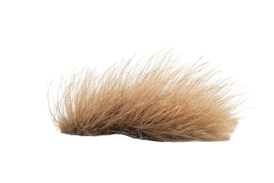 Tumbleweed rolls across arid desert landscape under clear sky capturing the essence of a barren environment in vibrant detail